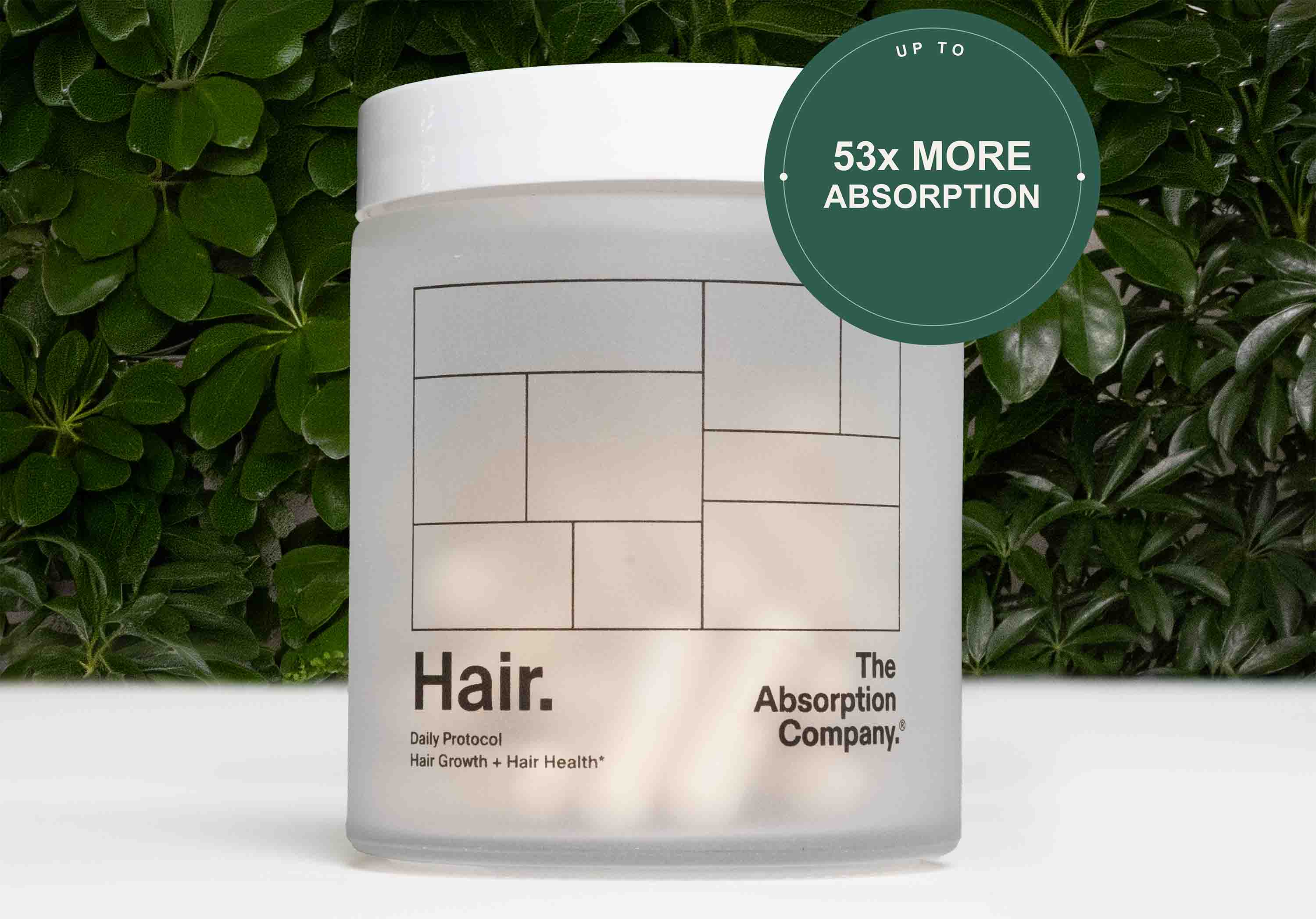 Hair: Growth Support + Shedding Defense