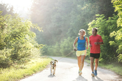 Does GLP-1 Affect BMR (Basal Metabolic Rate)?