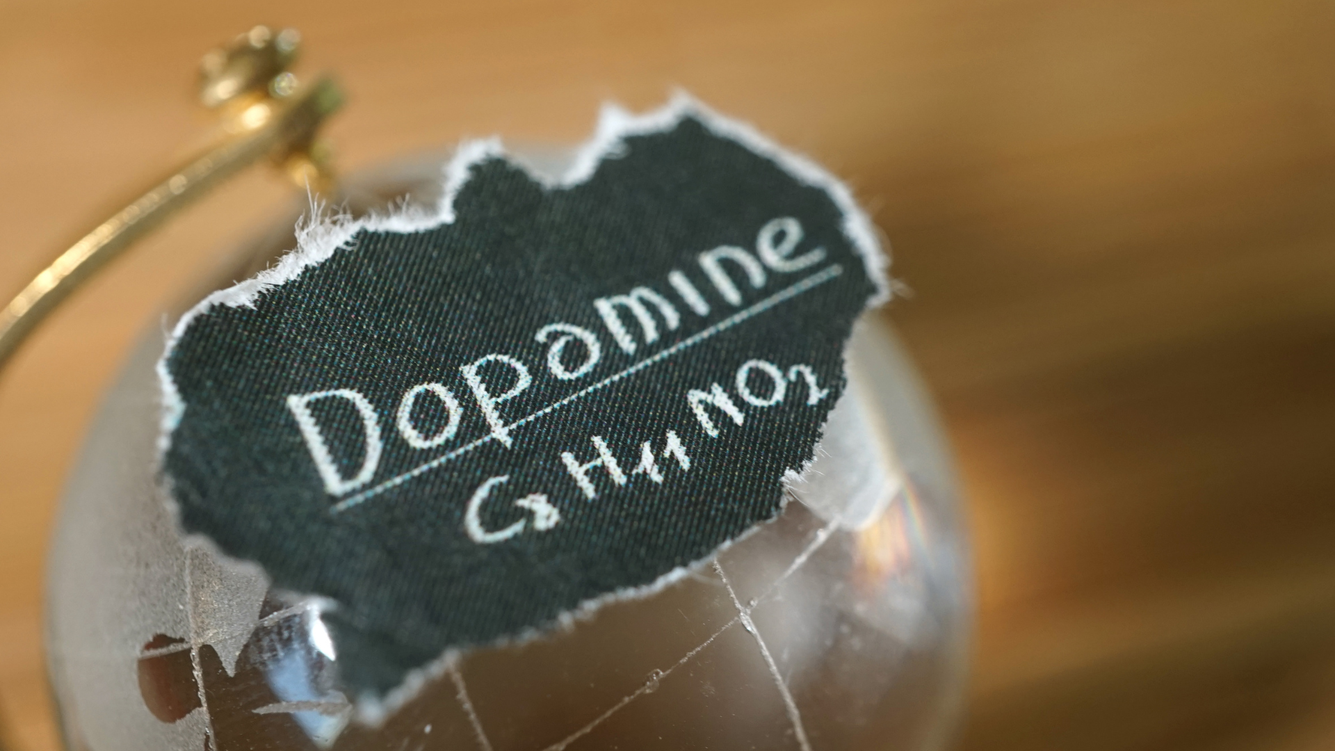 GLP-1 Dopamine