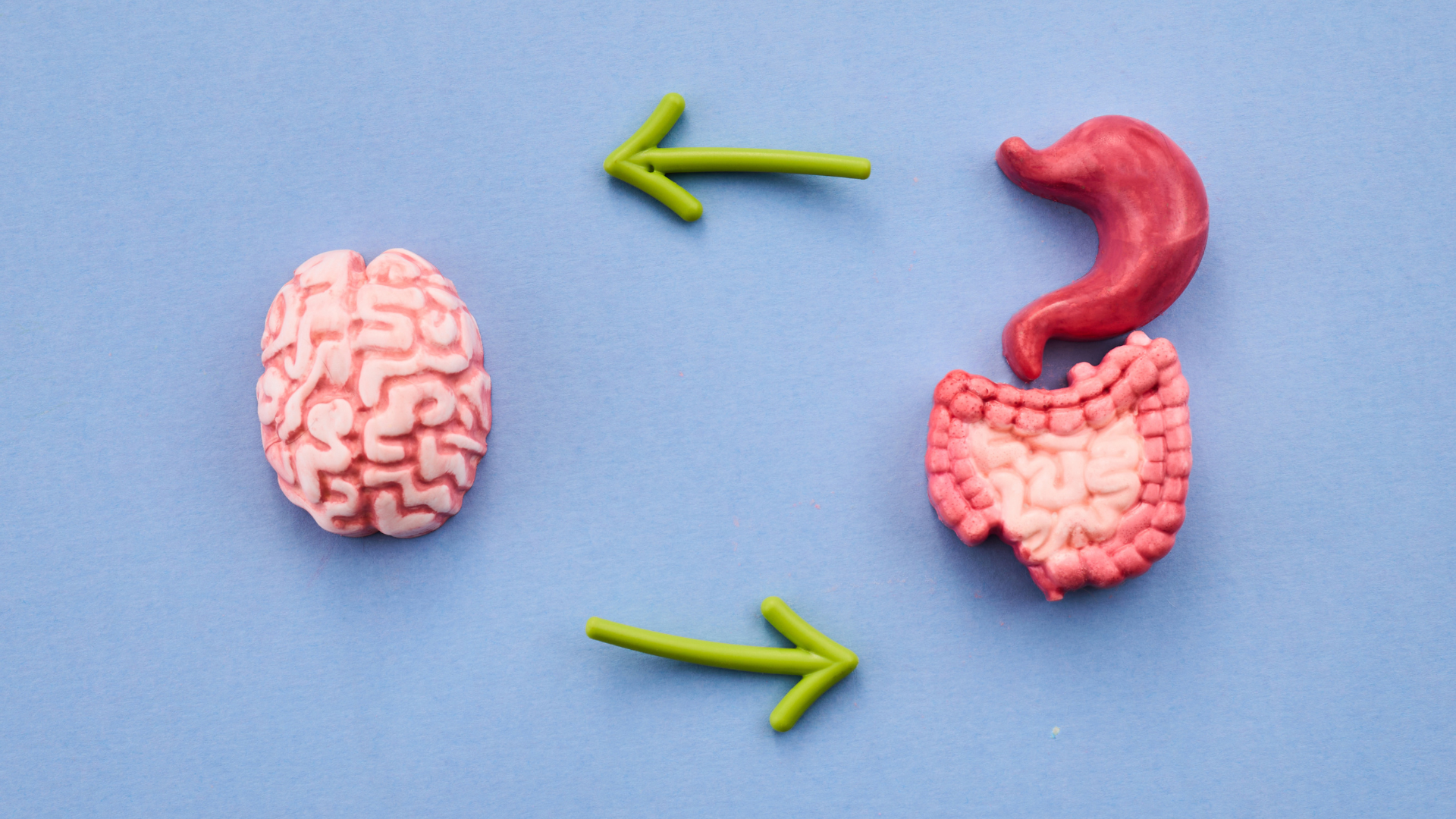 GLP-1 Gut Brain Connection