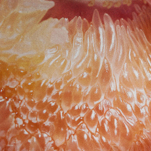 Capsoil® Liposomal Vitamin C