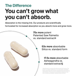 Hair: Growth Support + Shedding Defense
