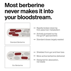 Berberine