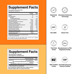 GLP-1 Nutrient Support Stack