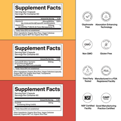 Spring Essentials Stack