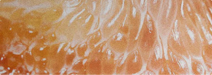 Capsoil® Nanotechnology