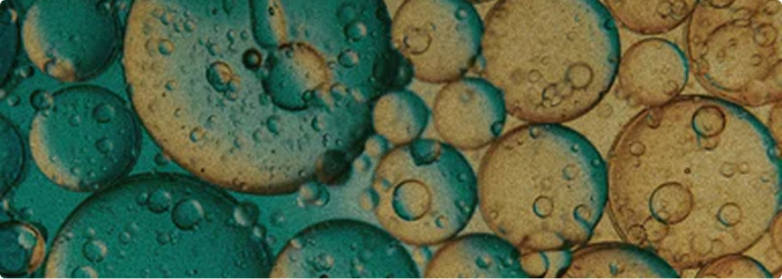 Capsoil® Liposomal Delivery