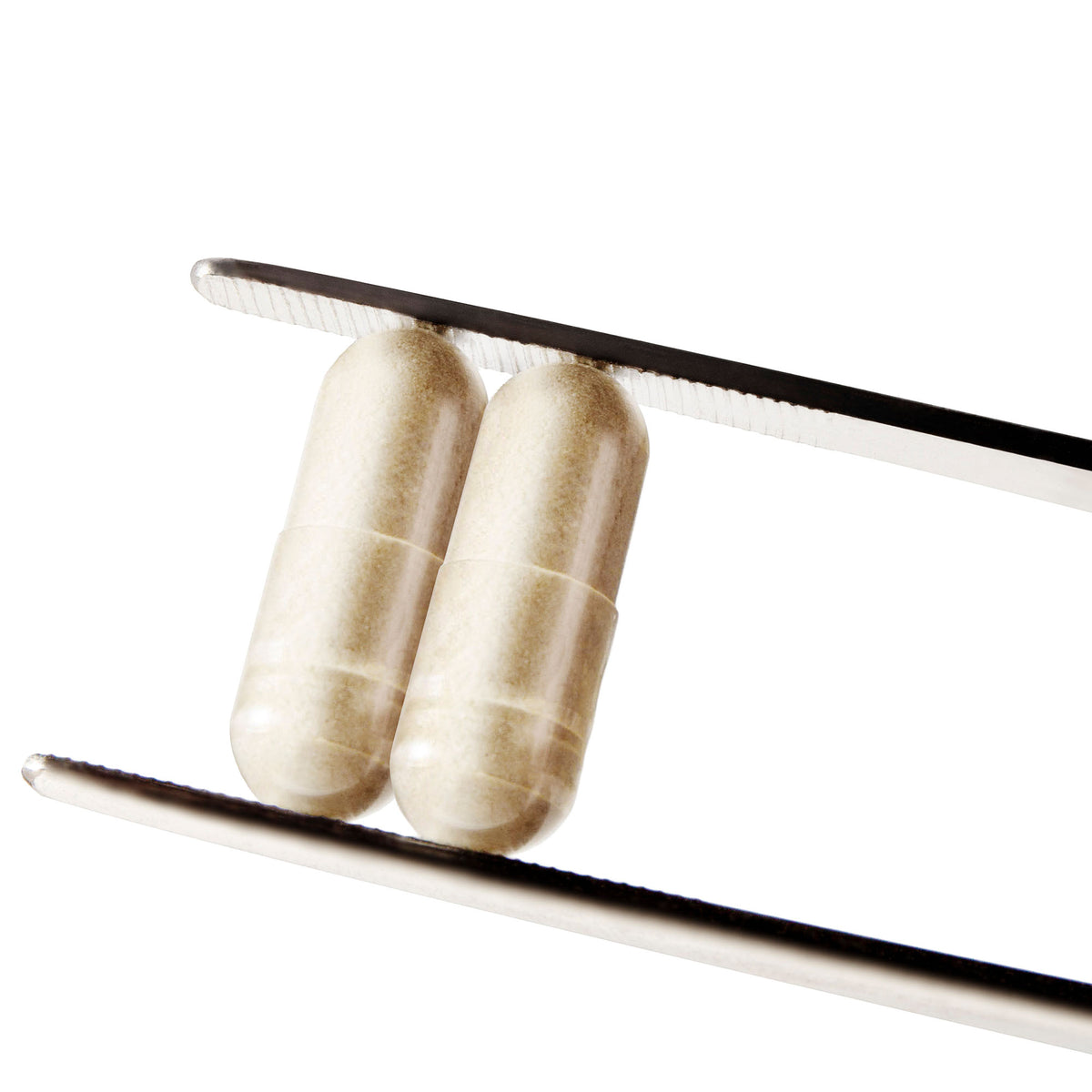 Relosorb Learn more about The Absorption Company and our mission