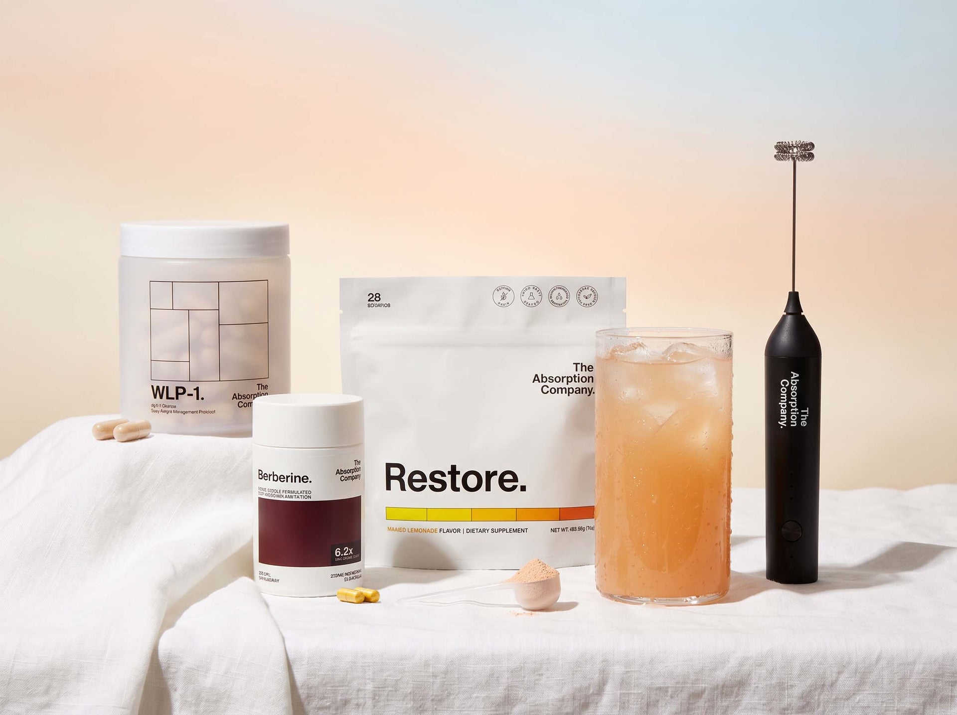 The Absorption Company The Absorption Company