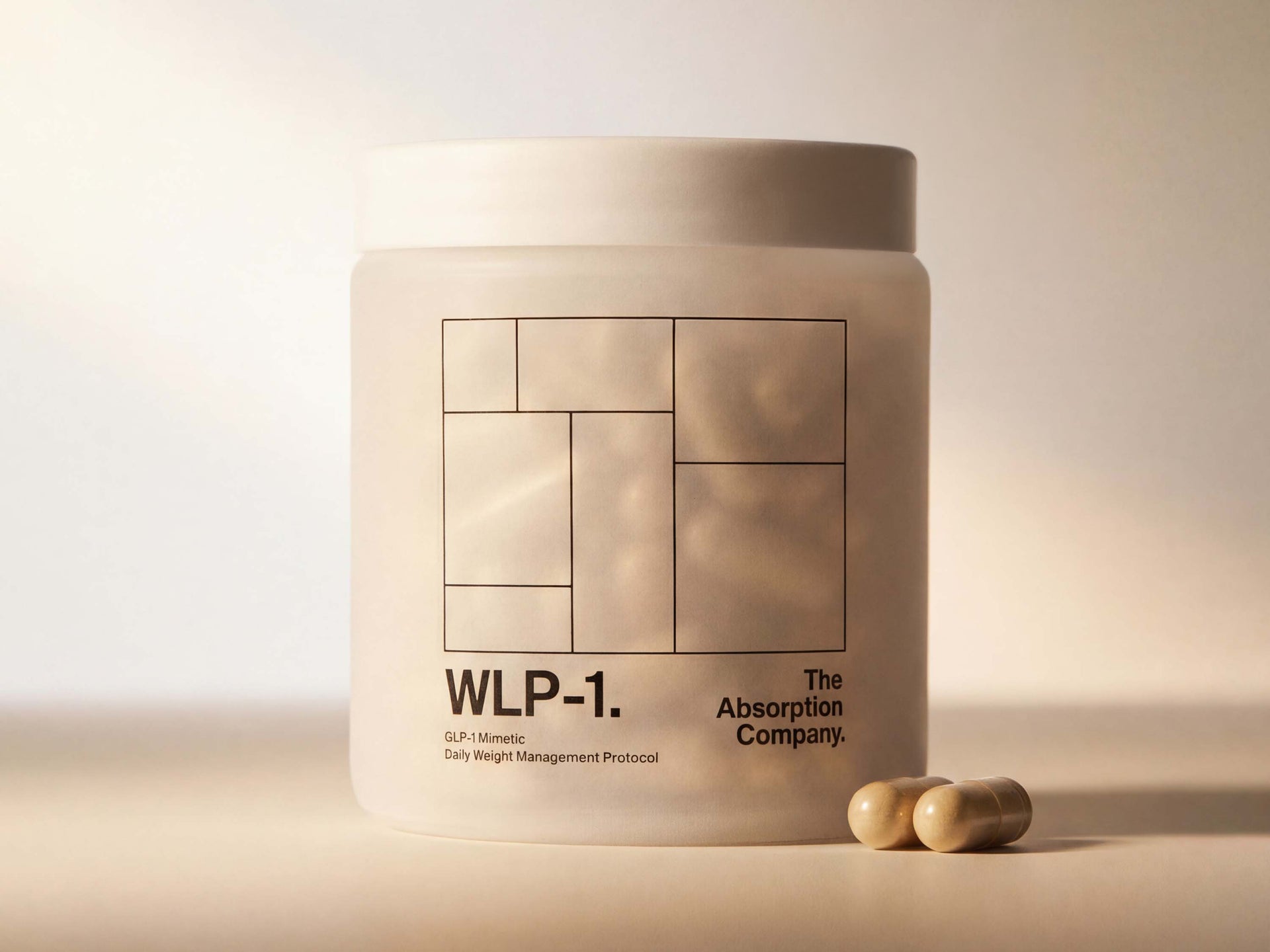 The Absorption Company