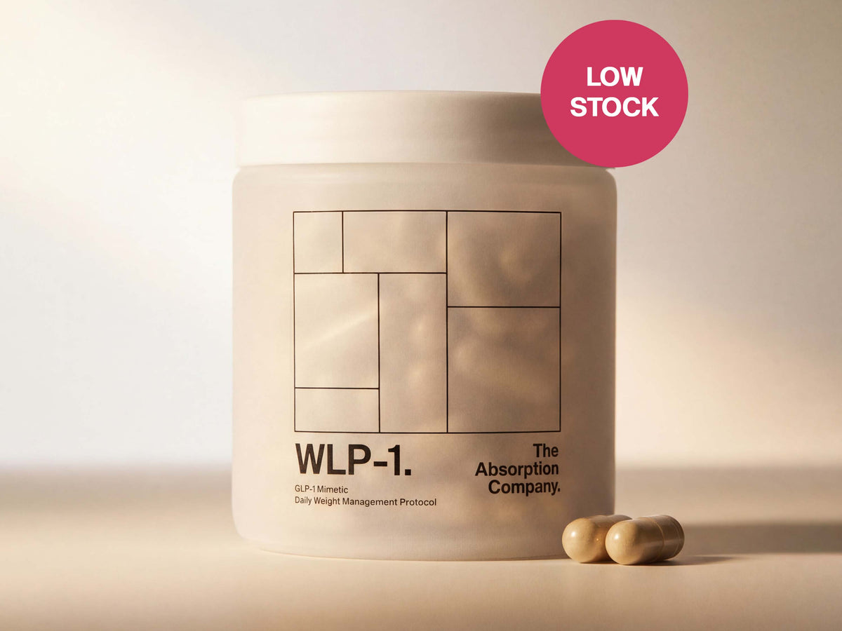 Wlp Company The Absorption Company